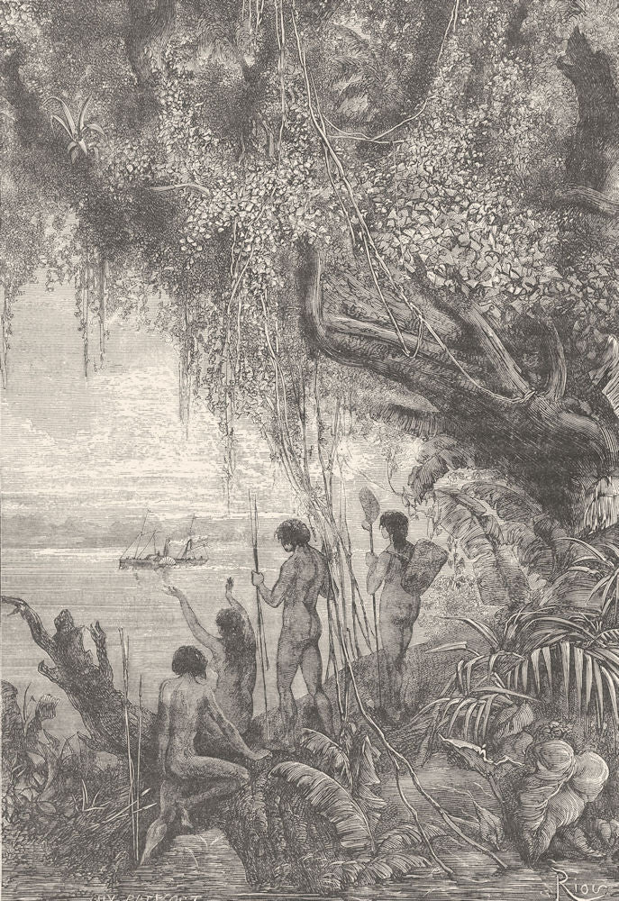 BRAZIL. Vegetation on the Lower Amazon 1893 old antique vintage print picture